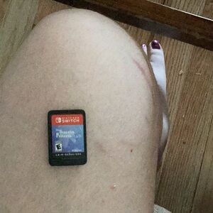 The Unicorn Princess (Nintendo Switch Game Card)